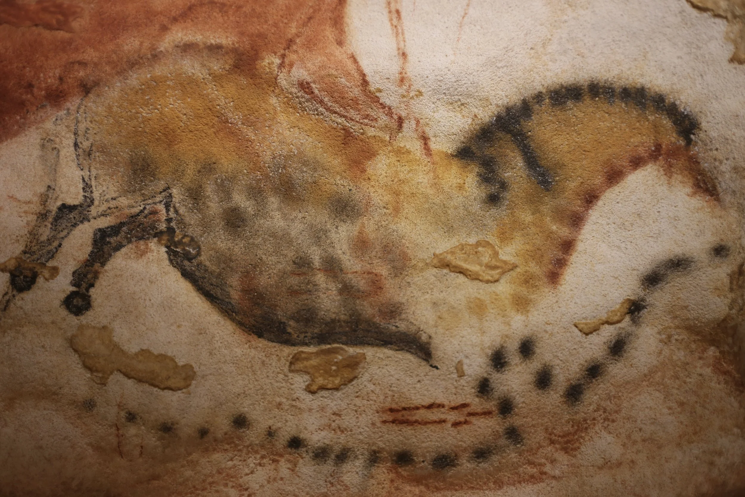 特撮 Discovering Lascaux 3D Lascaux Cave coming to life
